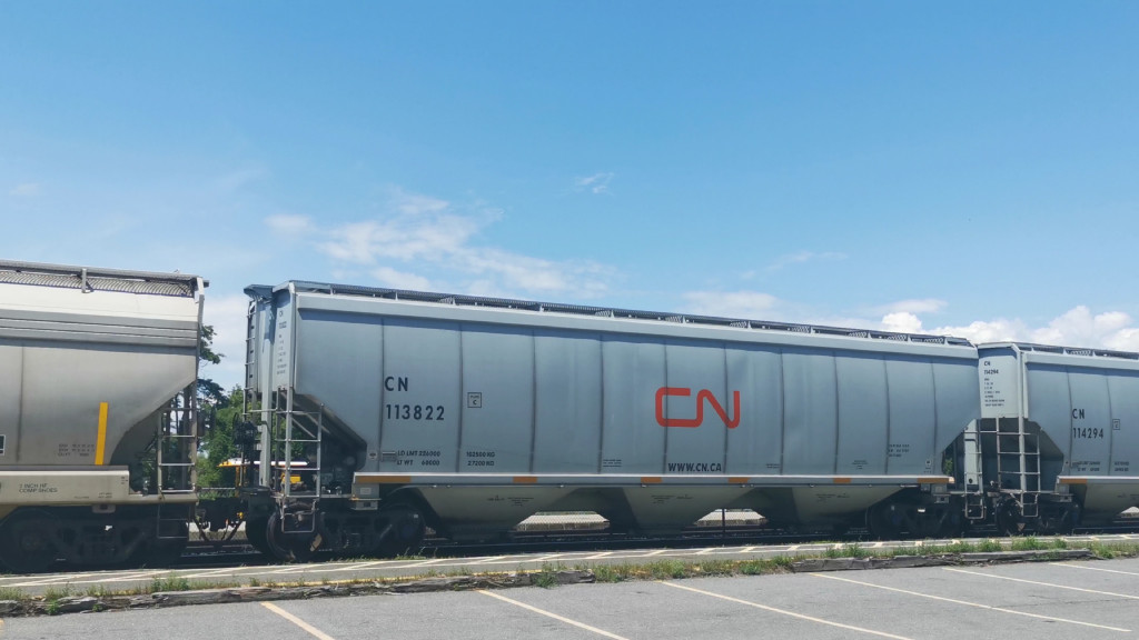 CN 113822